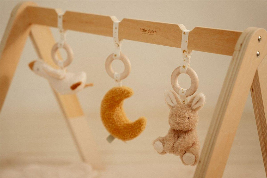 Little Dutch Baby Newborn Gym White Bird