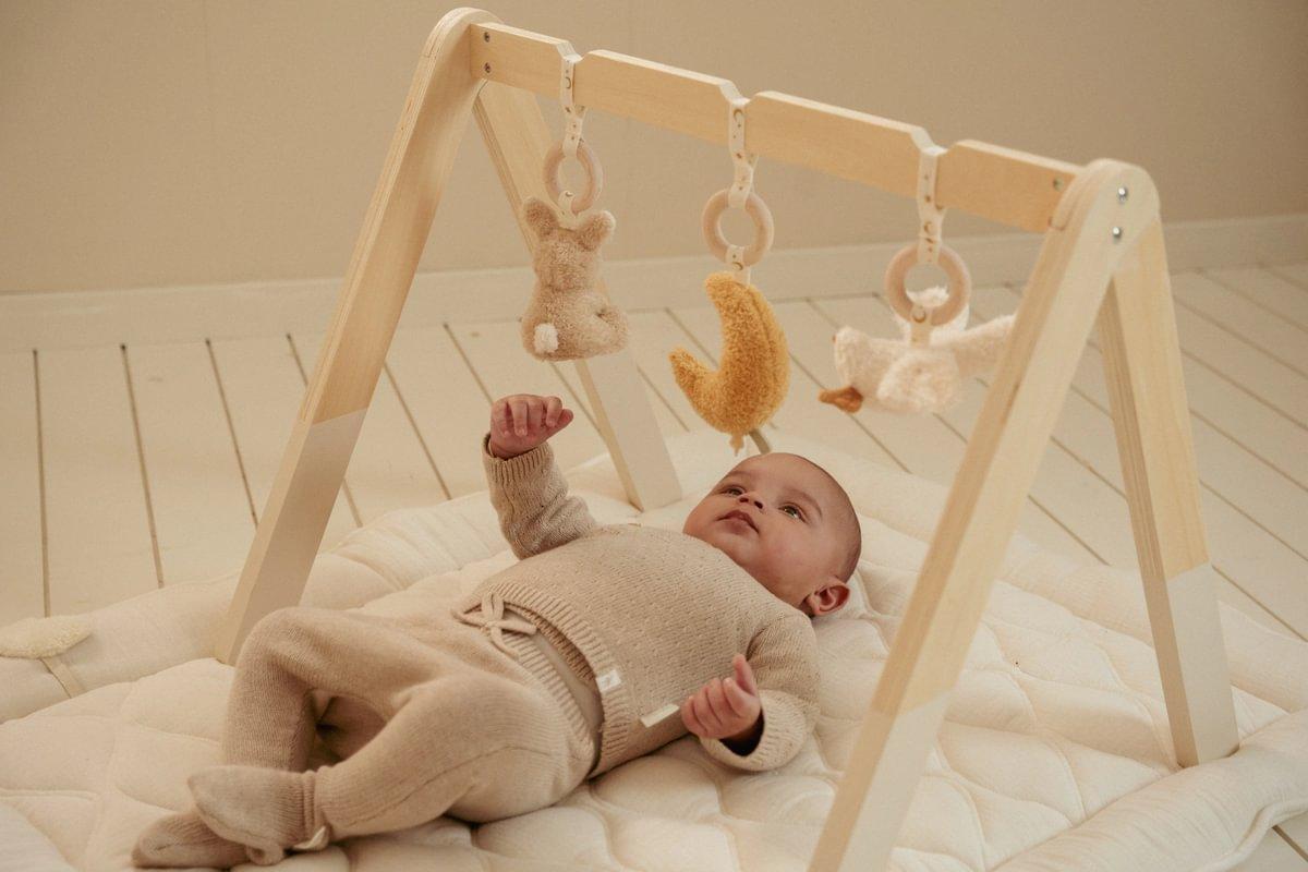 Little Dutch Baby Newborn Gym White Bird